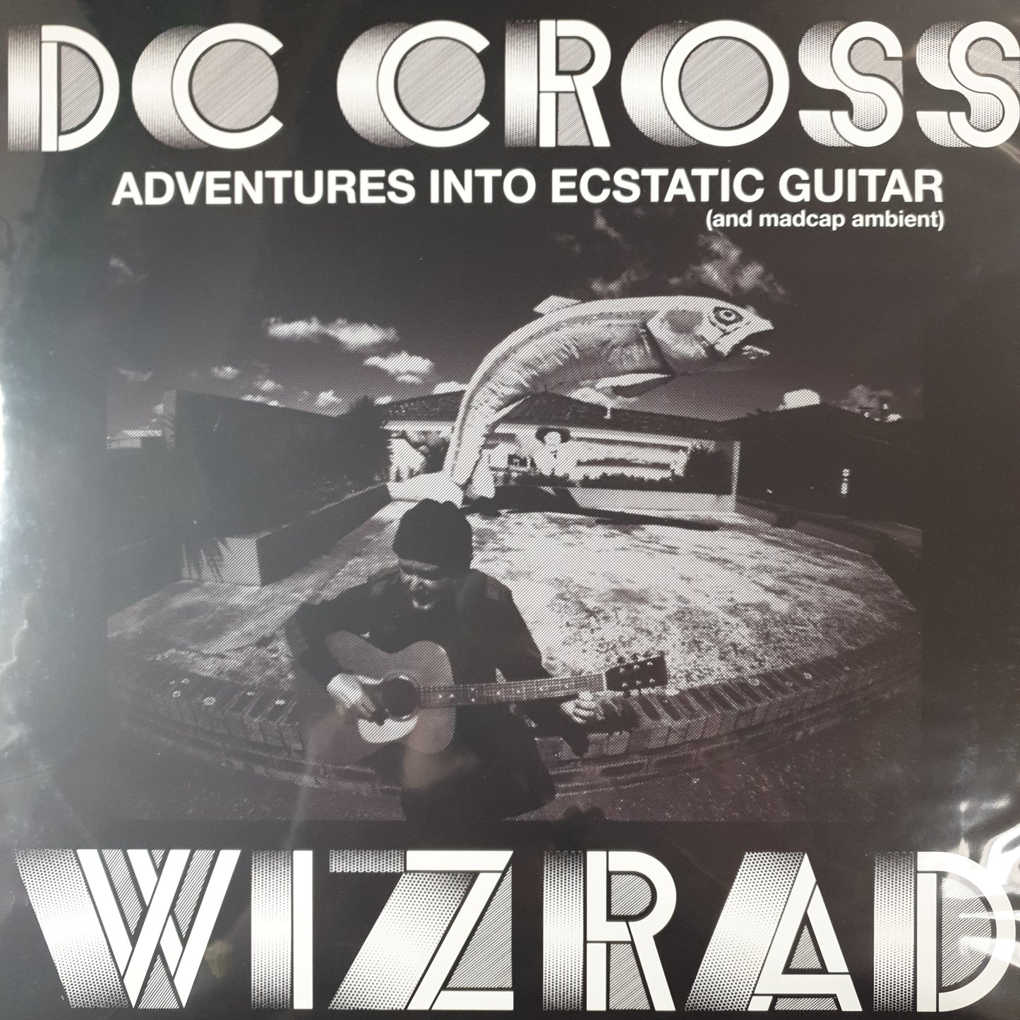 DC CROSS - WIZRAD VINYL
