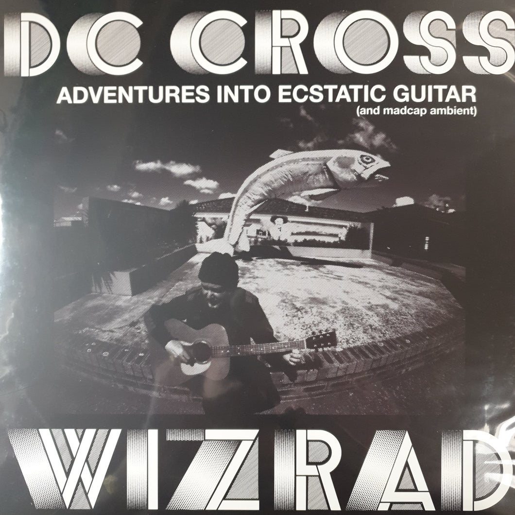 DC CROSS - WIZRAD VINYL