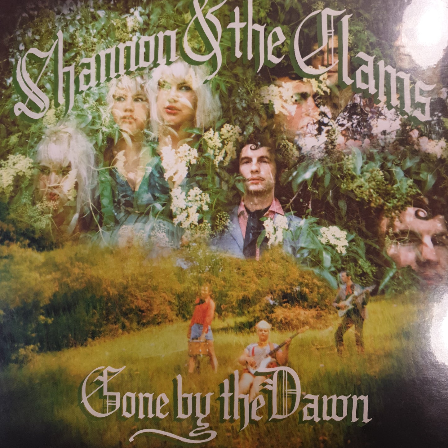 SHANNON AND THE CLAMS - GONE BY DAWN VINYL