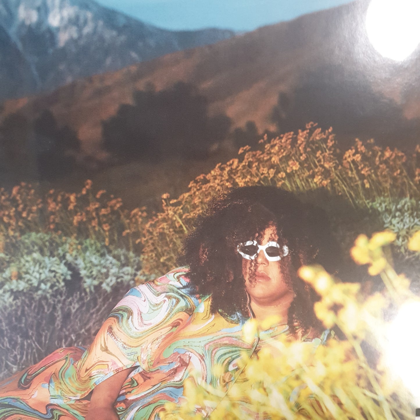 BRITTANY HOWARD - WHAT NOW VINYL