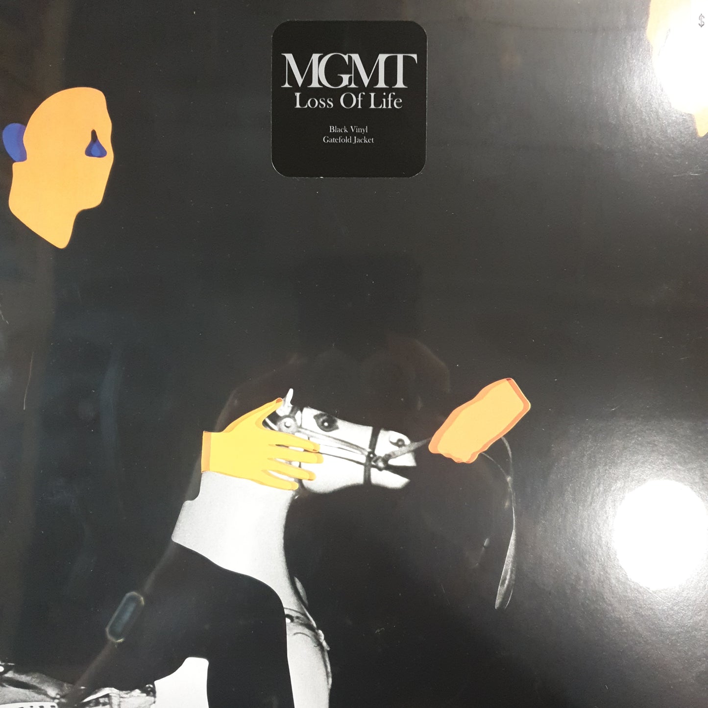 MGMT - LOSS OF LIFE VINYL