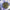 PRIDELANDS - LIGHT BENDS (BLUE/YELLOW/ORANGE COLOURED) (USED VINYL 2022 AUS M-/EX+)