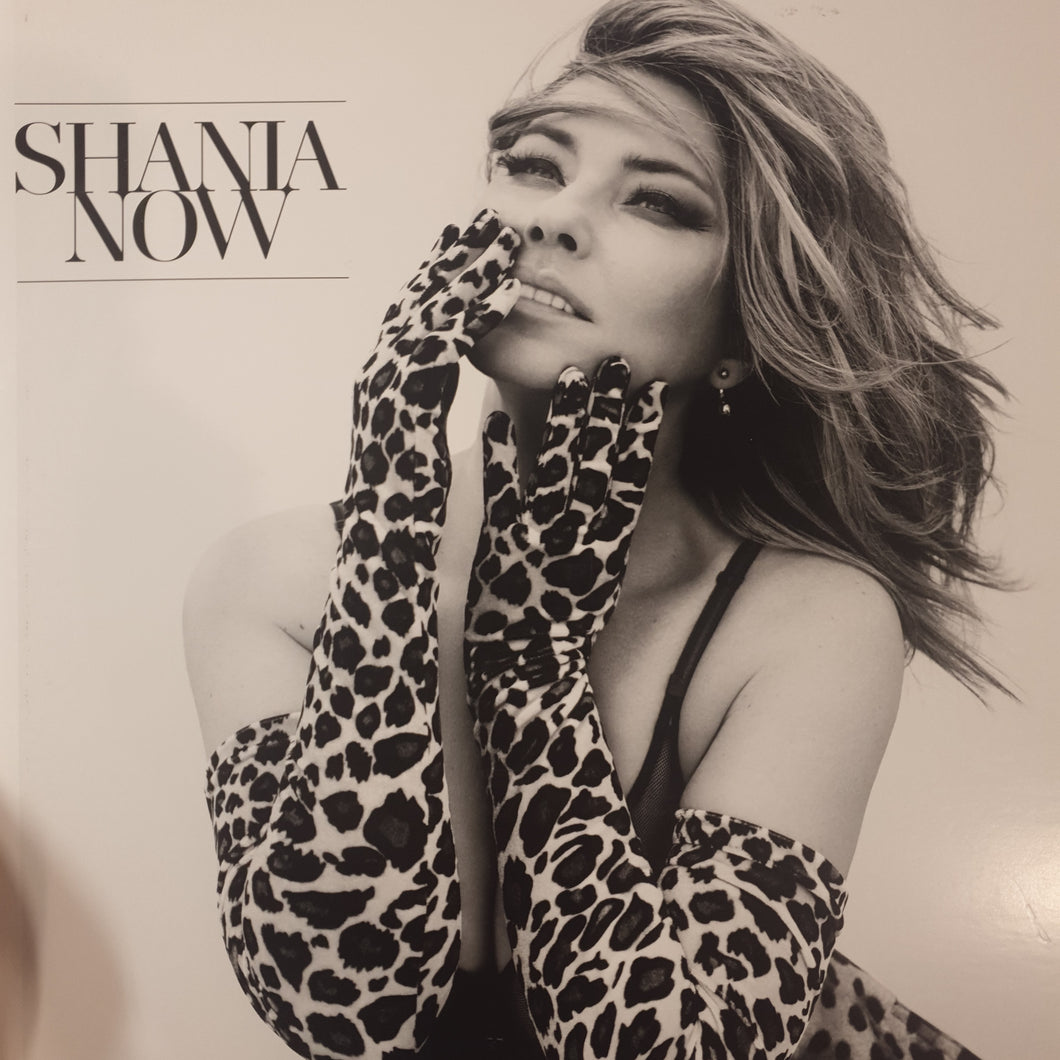 SHANIA TWAIN - NOW (2LP) (USED VINYL 2017 US EX+/EX+)