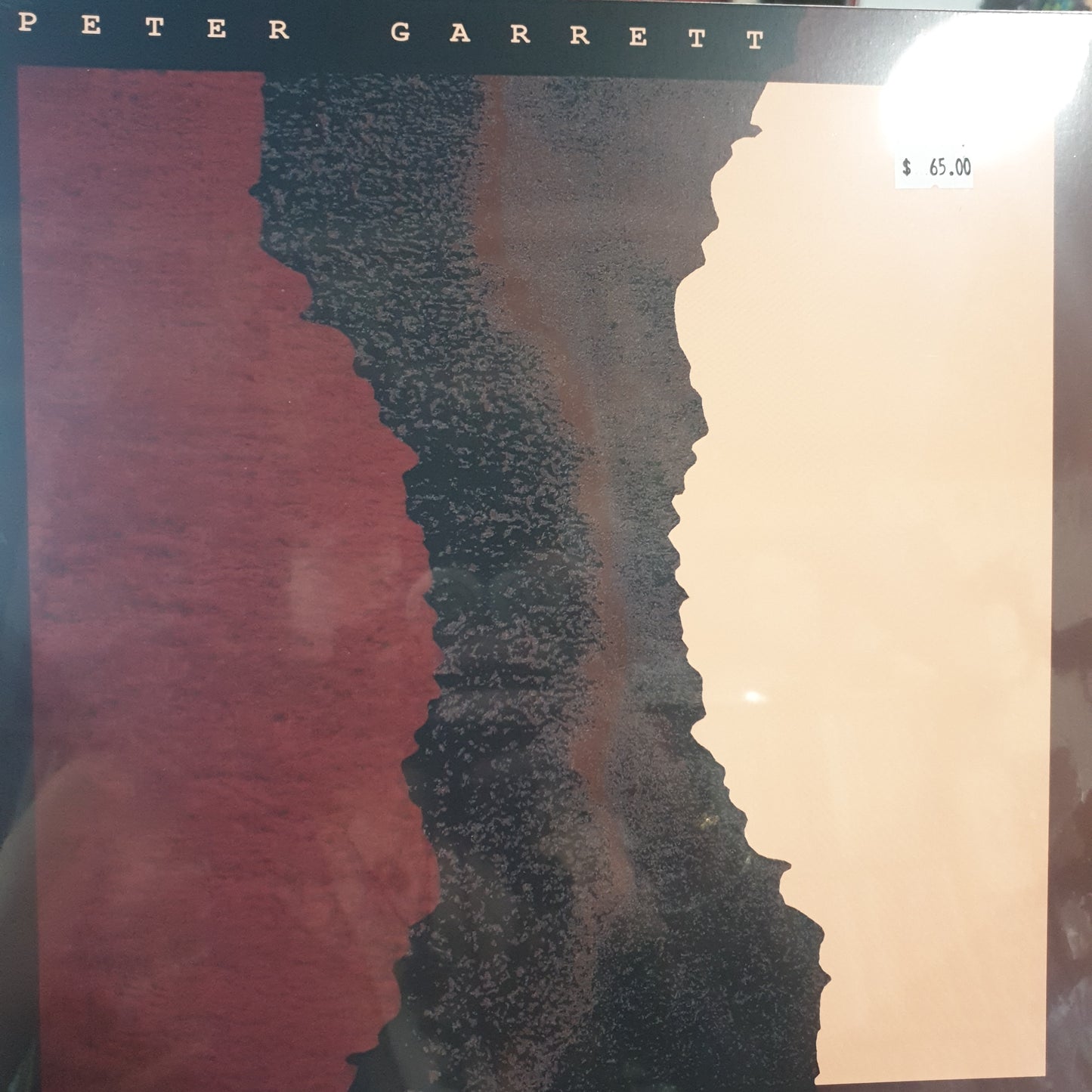 PETER GARETT - THE TRUE NORTH VINYL