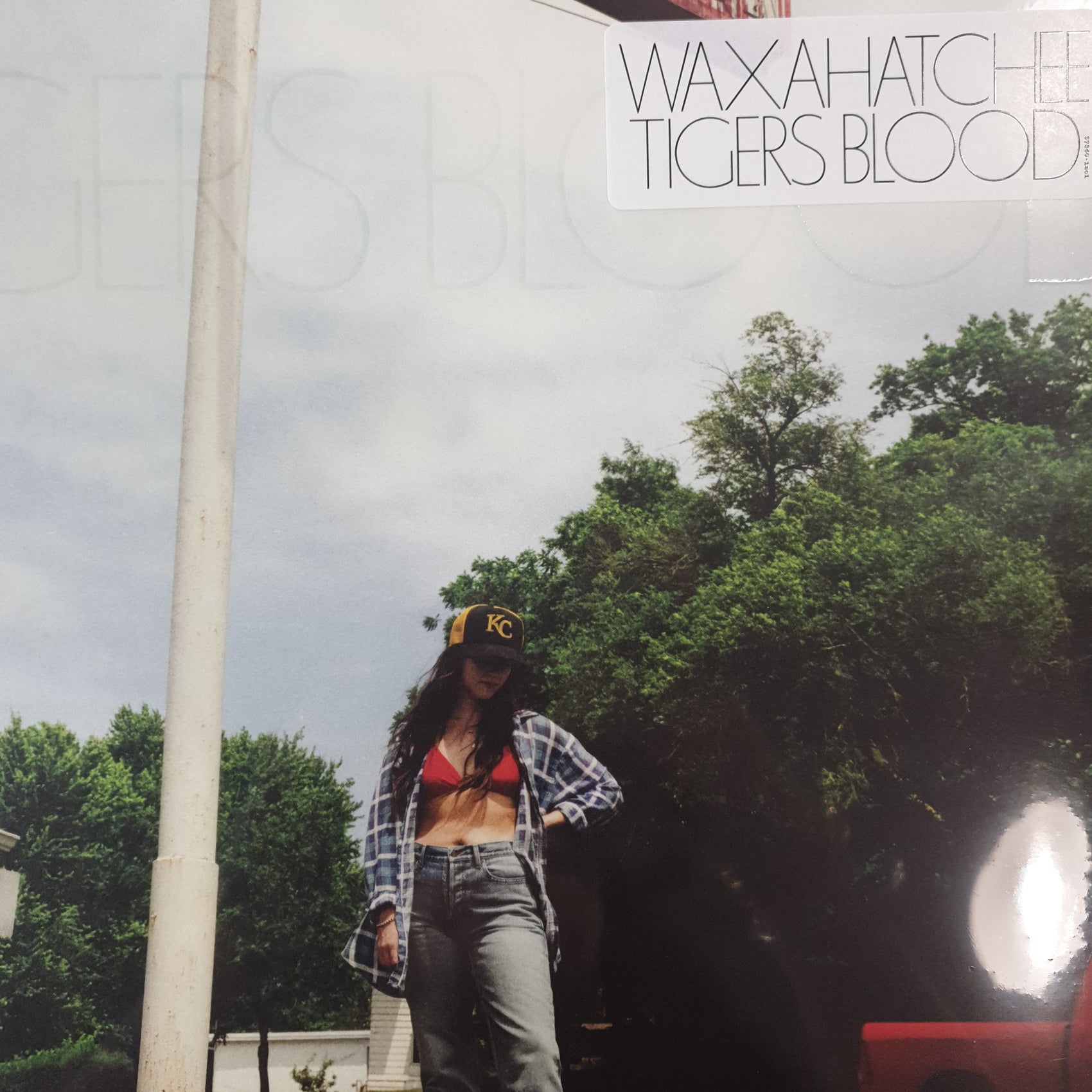 WAXAHATCHEE - TIGERS BLOOD VINYL