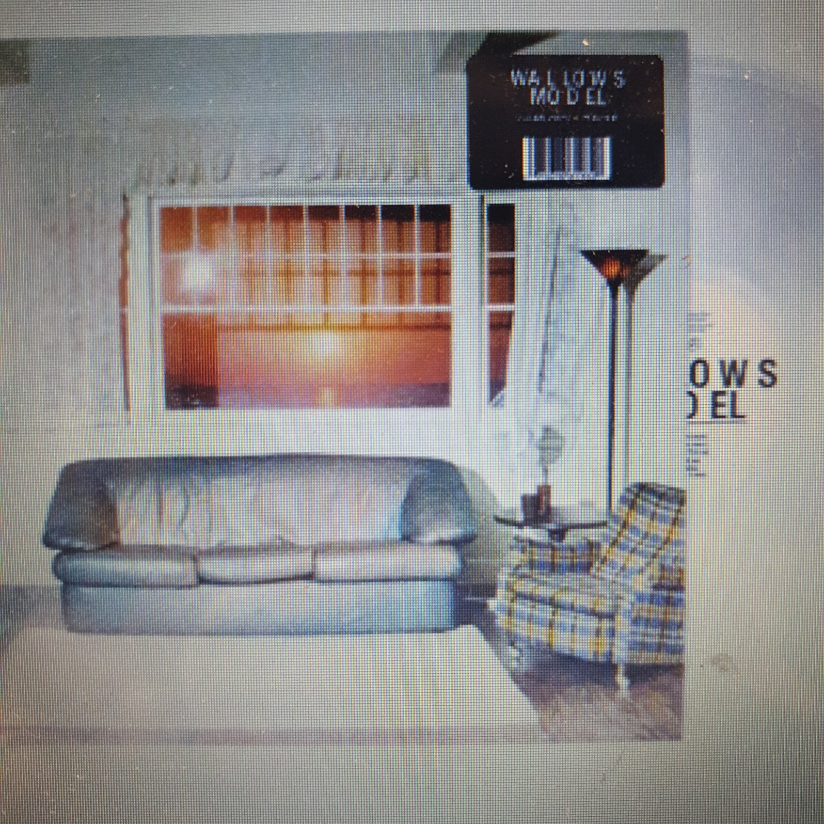 WALLOWS - MODEL (CLEAR COLOURED) VINYL