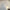CATFISH AND THE BOTTLEMEN - THE BALCONY (WHITE COLOURED) VINYL RSD 2024