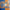 BILLY BRAGG - MORE FROM THE WILLIAM BLOKE SESSIONS (BLUE AND ORANGE COLOURED) VINYL RSD 2024