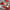 HOLLY HERNDON - PLATFORM (USED VINYL 2015 EURO 2LP M- M-)