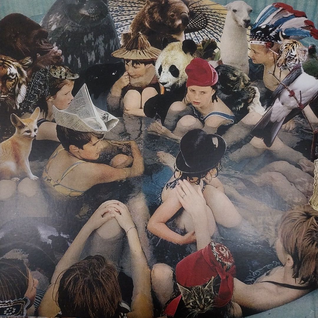 PANDA BEAR - PERSON PITCH (USED VINYL 2023 U.K./U.S. 2LP M- M-)