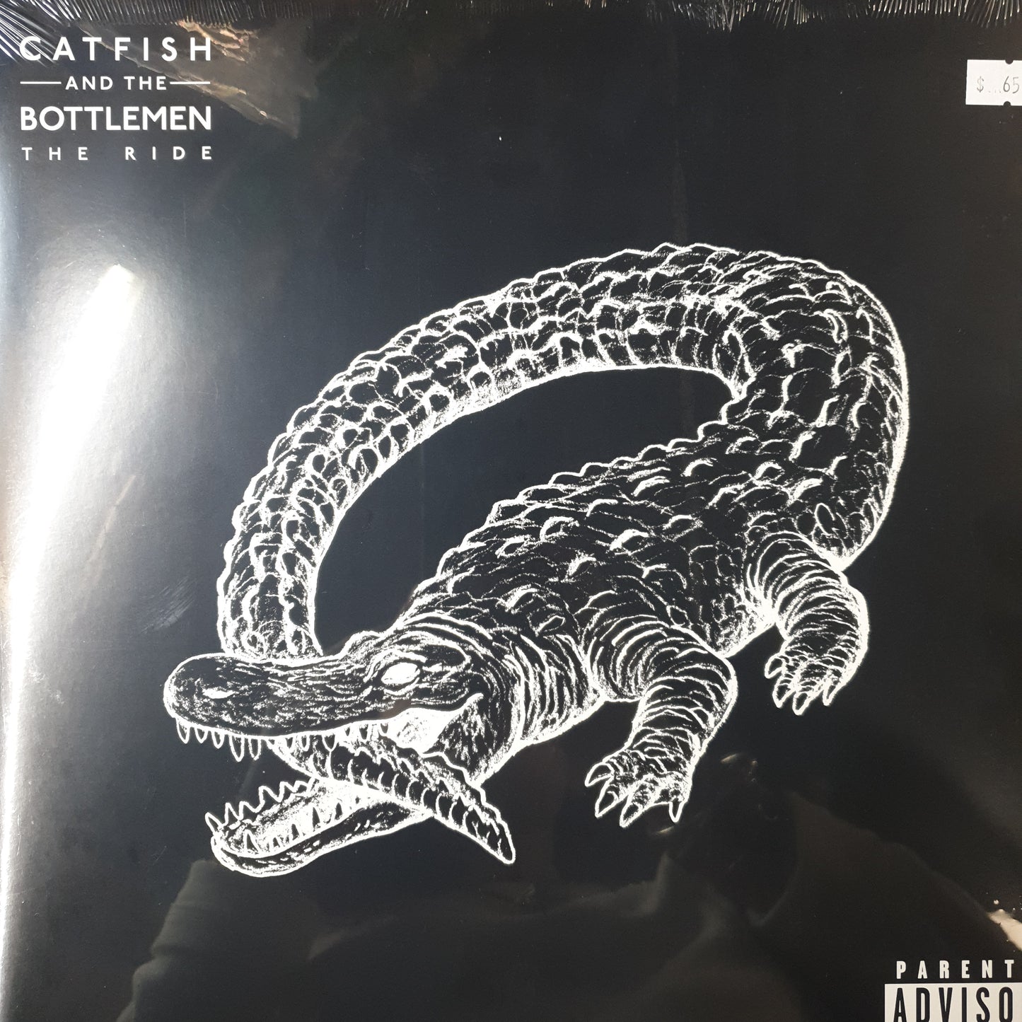 CATFISH AND THE BOTTLEMEN - THE RIDE VINYL