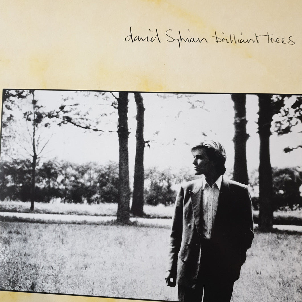 DAVID SYLVIAN - BRILLIANT TREES (USED VINYL 1984 GERMAN M-/EX+)