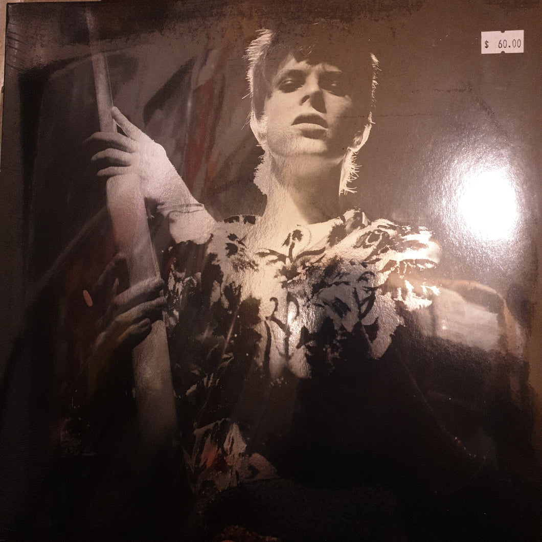 DAVID BOWIE - ROCK N ROLL STAR! VINYL