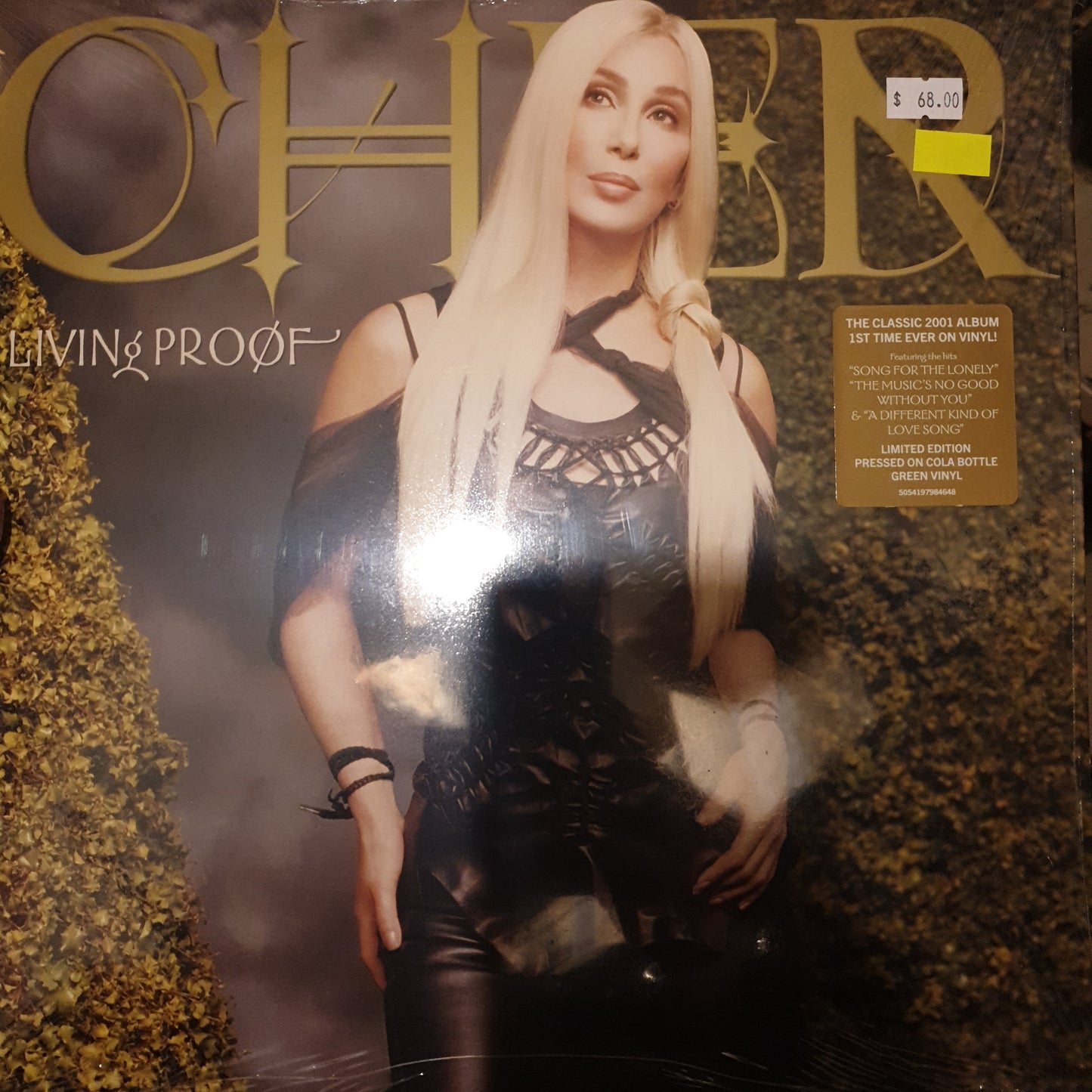 CHER - LIVING PROOF VINYL