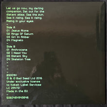 Load image into Gallery viewer, NICK CAVE &amp; THE BAD SEEDS - SKELETON TREE (USED VINYL 2016 EURO M-/M-)
