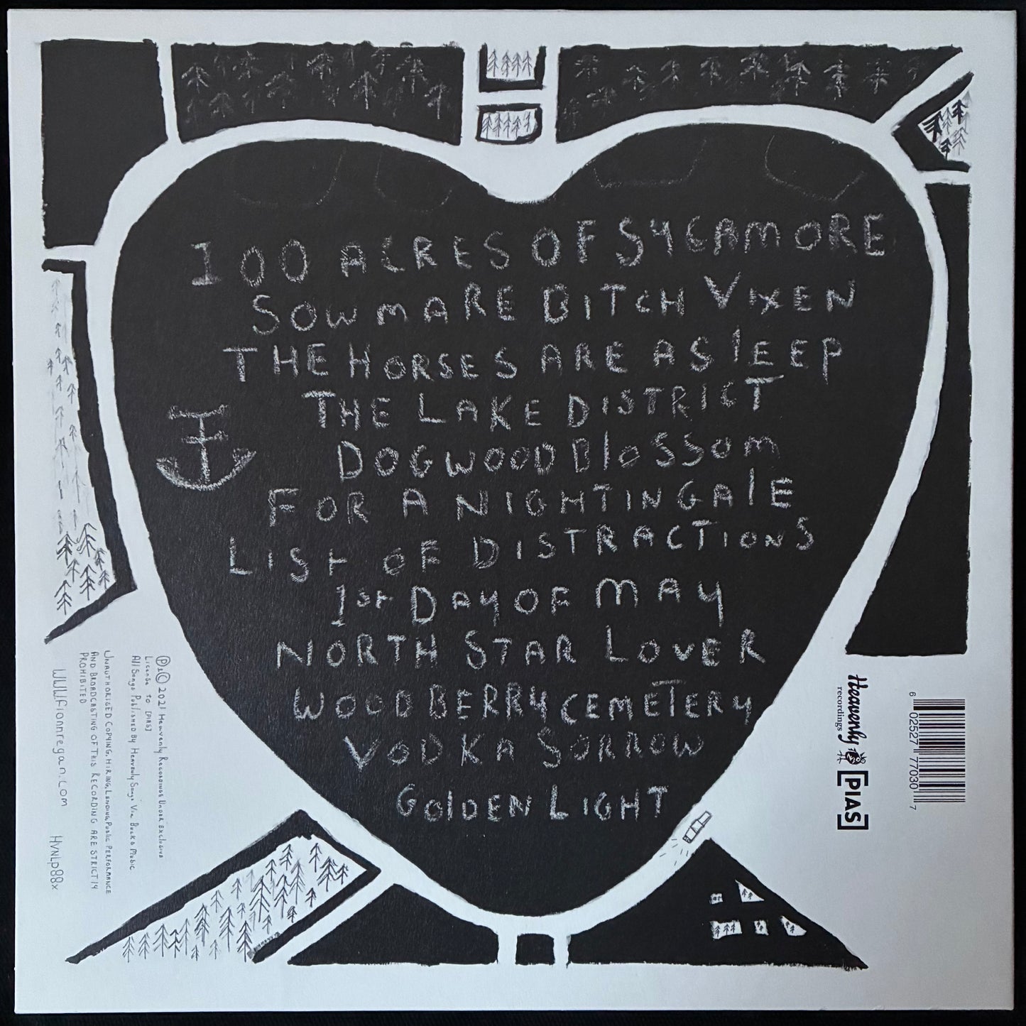 FIONN REGAN - 100 ACRES OF SYCAMORE (USED VINYL 2021 UK M-/M-)