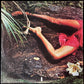 ROXY MUSIC - STRANDED (USED VINYL 1974 AUS EX-/EX)
