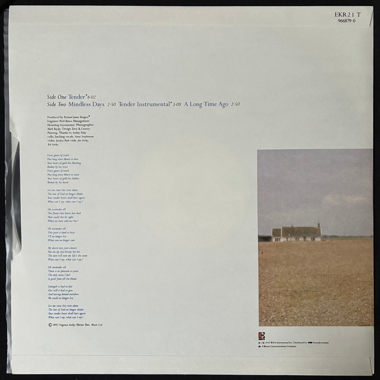 VIRGINIA ASTLEY - TENDER (12") (USED VINYL 1985 UK M-/M-)