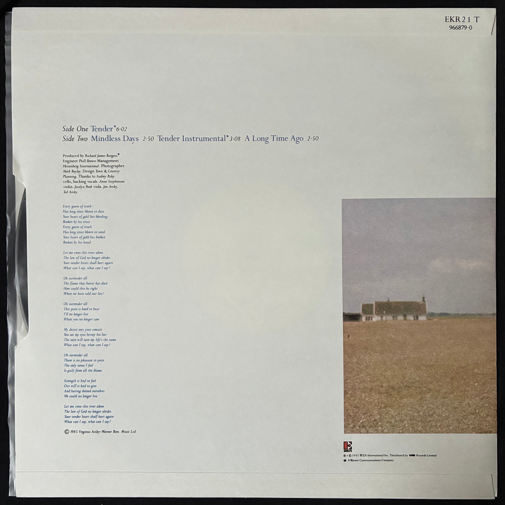 VIRGINIA ASTLEY - TENDER (12") (USED VINYL 1985 UK M-/M-)
