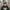 GREVILLE RECORDS BEANIE