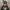 GREVILLE RECORDS CAP