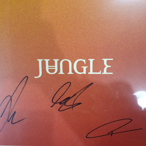 JUNGLE - VOLCANO (SIGNED) VINYL