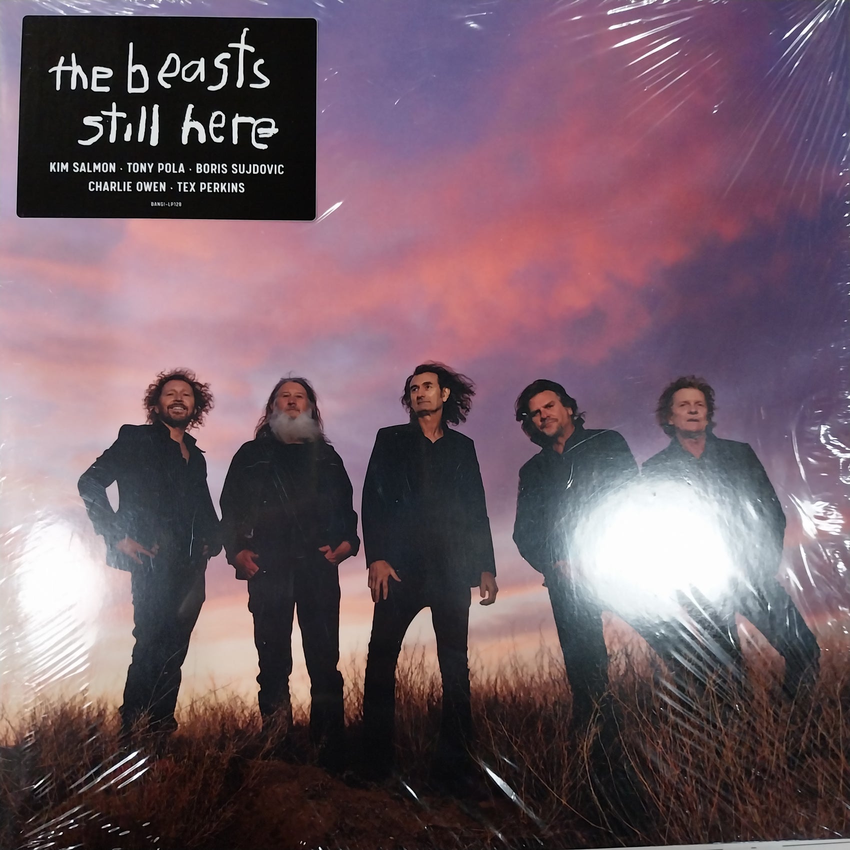 BEASTS STILL HERE - SELF TITLED (USED VINYL 2019 SPANISH M- M-)