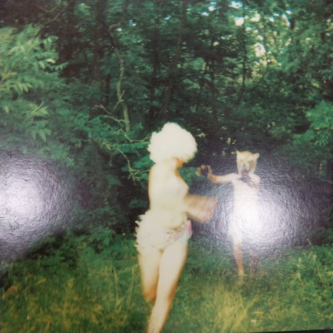 HARMLESSNESS - THE WORLD IS A BEAUTIFUL PLACE AND I AM NO LONGER AFRAID TO DIE (USED VINYL 2015 U.S. 2LP PINK M- M-)