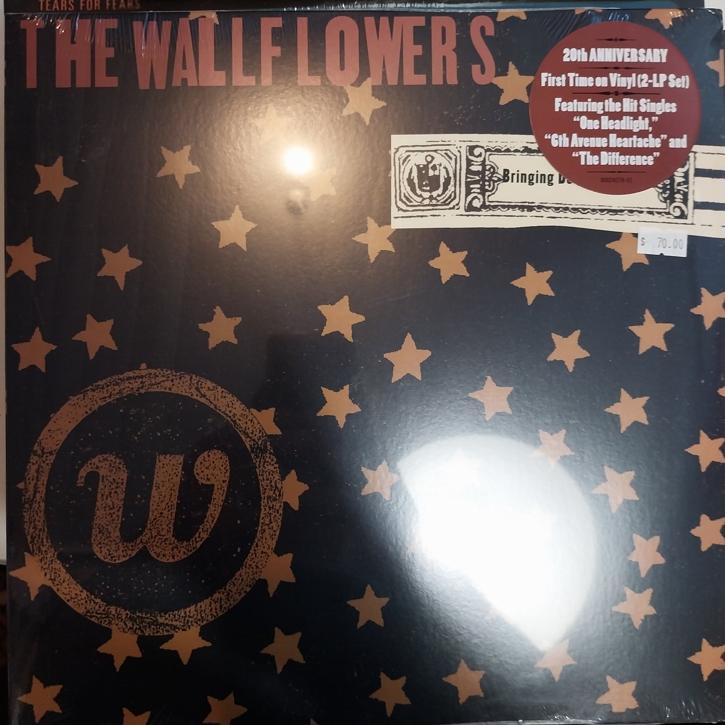 WALLFLOWERS - BRINGING DOWN THE HORSE VINYL