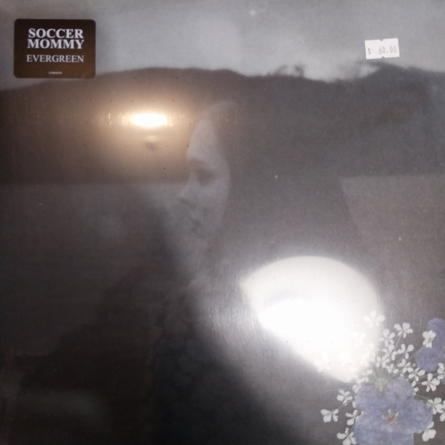 SOCCER MOMMY - EVERGREEN VINYL