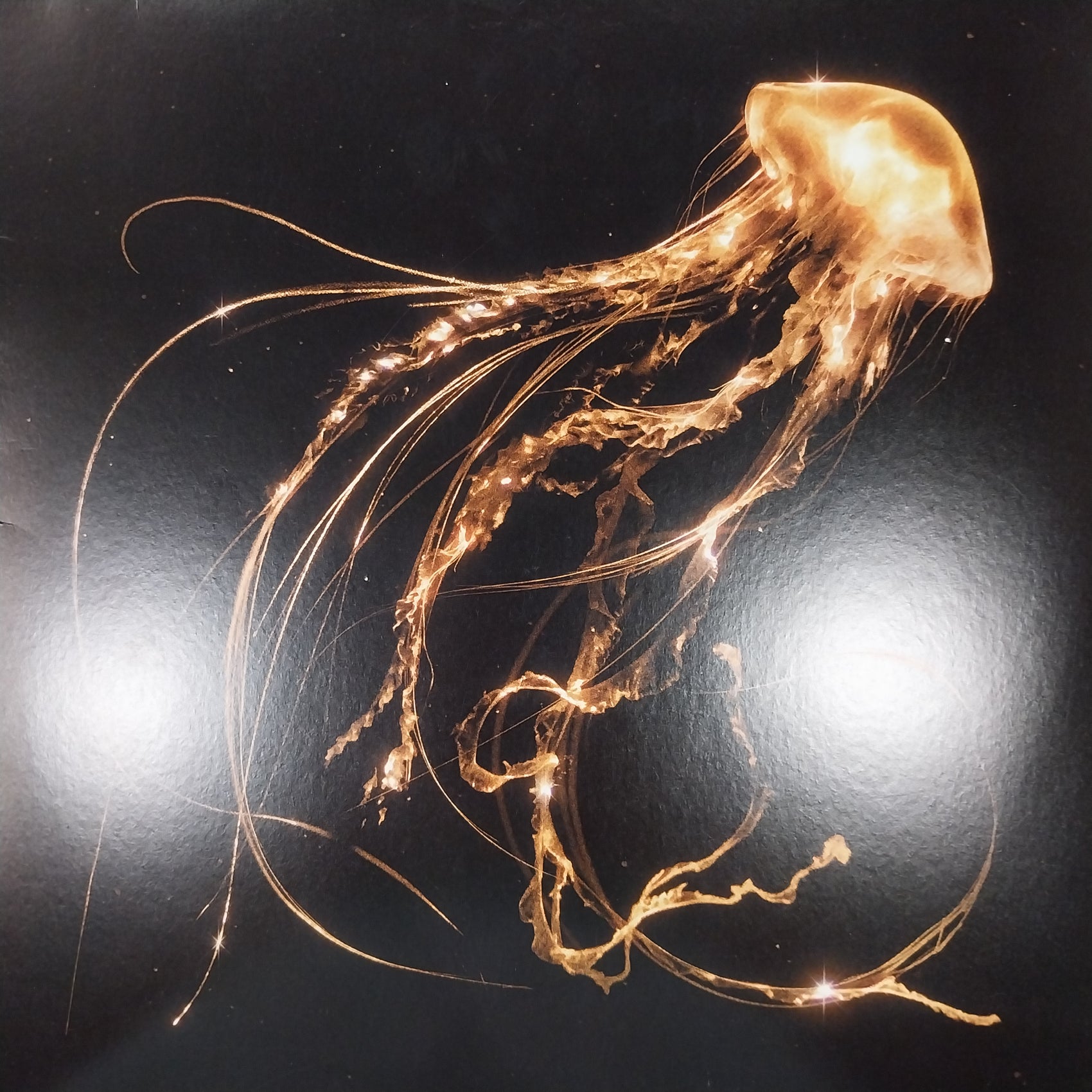 ROYAL BLOOD - BACK TO THE WATER BELOW (USED VINYL 2023 U.K./EURO M- M-)