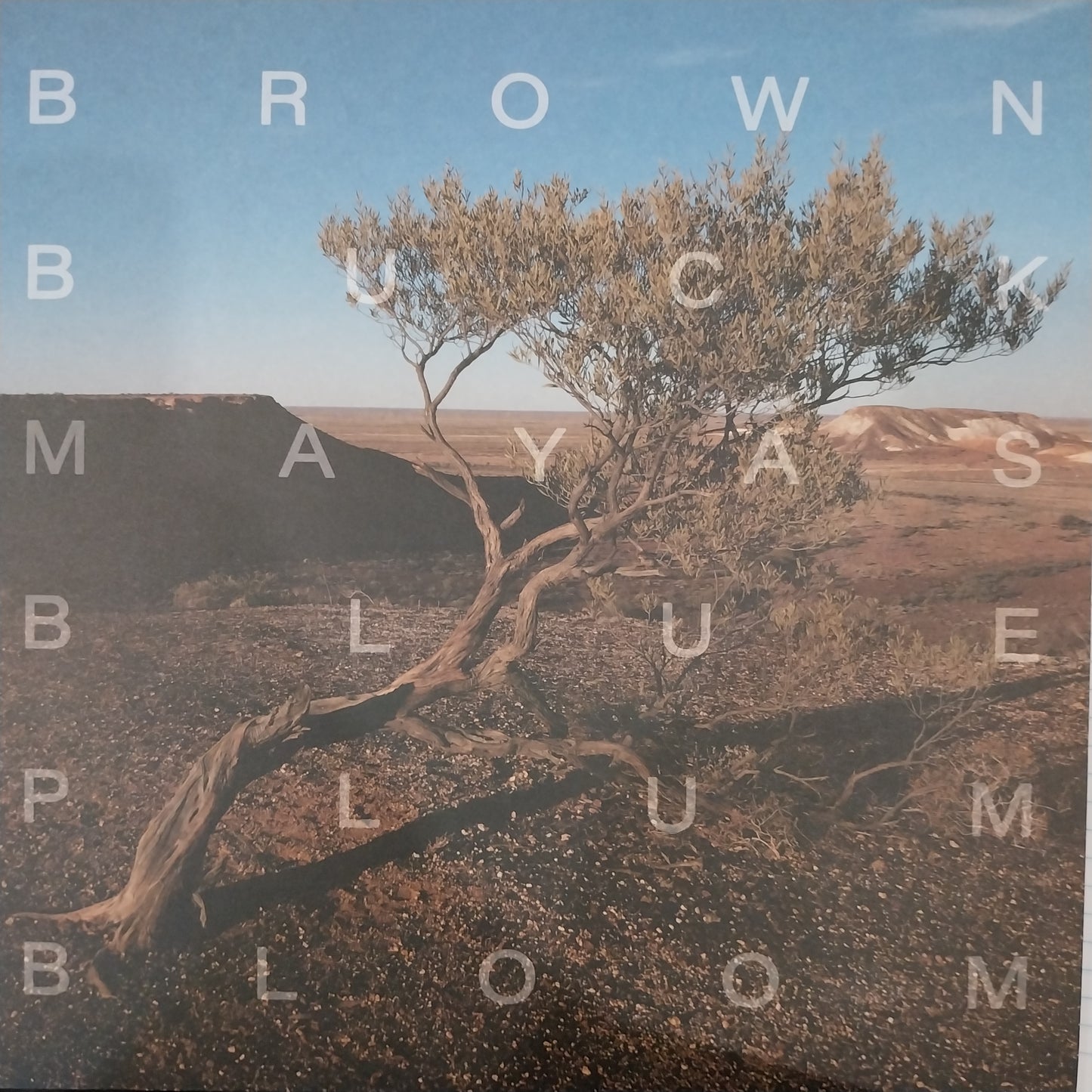 BROWN BUCK MAYAS - BLUE PLUM BLOOM VINYP