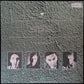 STUMP - A FIERCE PANCAKE (USED VINYL 1988 UK M-/M-)