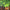 C418 - MINECRAFT VOLUME ALPHA (GREEN COLOURED) (USED VINYL 2015 US M-/M-)