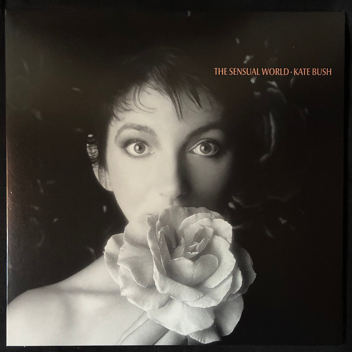 KATE BUSH - REMASTERED IN VINYL II (4LP 180GM BOX SET) (USED VINYL 2018 EU M-/M-)