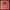 MY MORNING JACKET - ACOUSTIC CITSUOCA : LIVE! AT THE STARTIME PAVILLION ~ OCTOBER 31ST ~ (MLP) (USED VINYL 2004 US M-/M-)