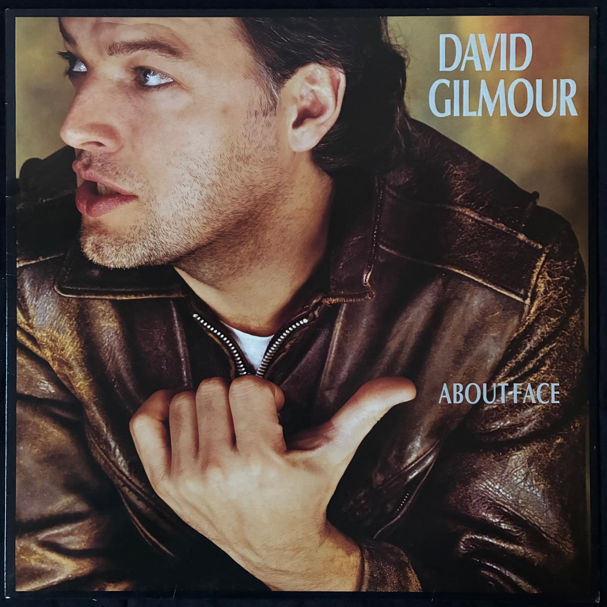 DAVID GILMOUR - ABOUT FACE (FIRST PRESSING) (USED VINYL 1984 UK M-/M ...