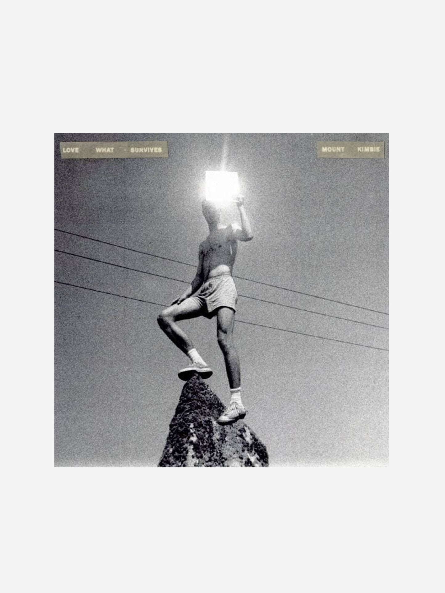 MOUNT KIMBIE - LOVE WHAT SURVIVES VINYL