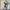 AN BERLIN - NEVER TAKE FRIENDSHIP PERSONAL (2LP) (BLUE VINYL) (USED VINYL 2025 US M-/M-)