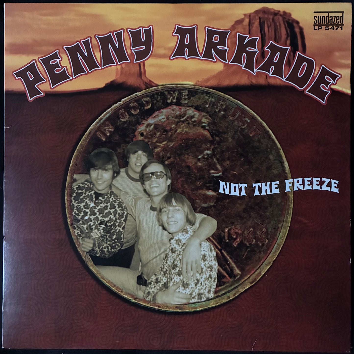 PENNY ARKADE - NOT THE FREEZE (180GM) (USED VINYL 2014 US M-/M-)