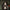 JADE JACKSON - WILDERNESS (2LP) (180GM) (USED VINYL 2019 EU M-/M-)