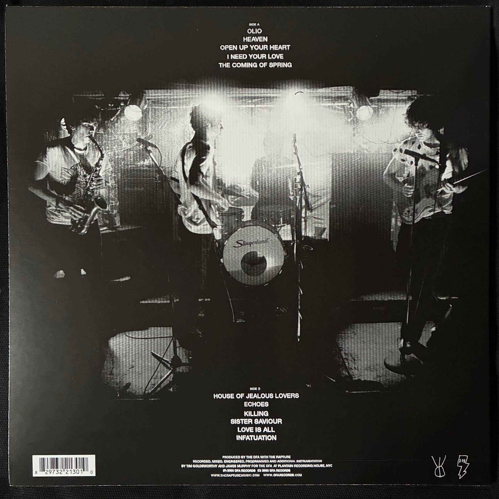 RAPTURE - ECHOES (USED VINYL 2023 M-/M-)