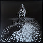 KELLEY STOLTZ - QUE AURA (USED VINYL 2017 US M-/M-)