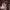 IRIS DEMENT - WAY I SHOULD (COLOURED) RSD 2026 VINYL
