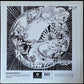 RAINBOW FFOLLY - SALLIES FFORTH (MONO) (YELLOW SPLATTER COLOURED) (USED VINYL 2015 UK M-/M-)