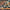 FRANK ZAPPA AND THE MOTHERS OF INVENTION - OVER-NITE SENSATION (WHITE LABEL PROMO) (USED VINYL 1973 JAPAN EX-/EX)