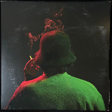 Load image into Gallery viewer, JIM O'ROURKE - SIMPLE SONGS (USED VINYL 2015 US M-/EX)
