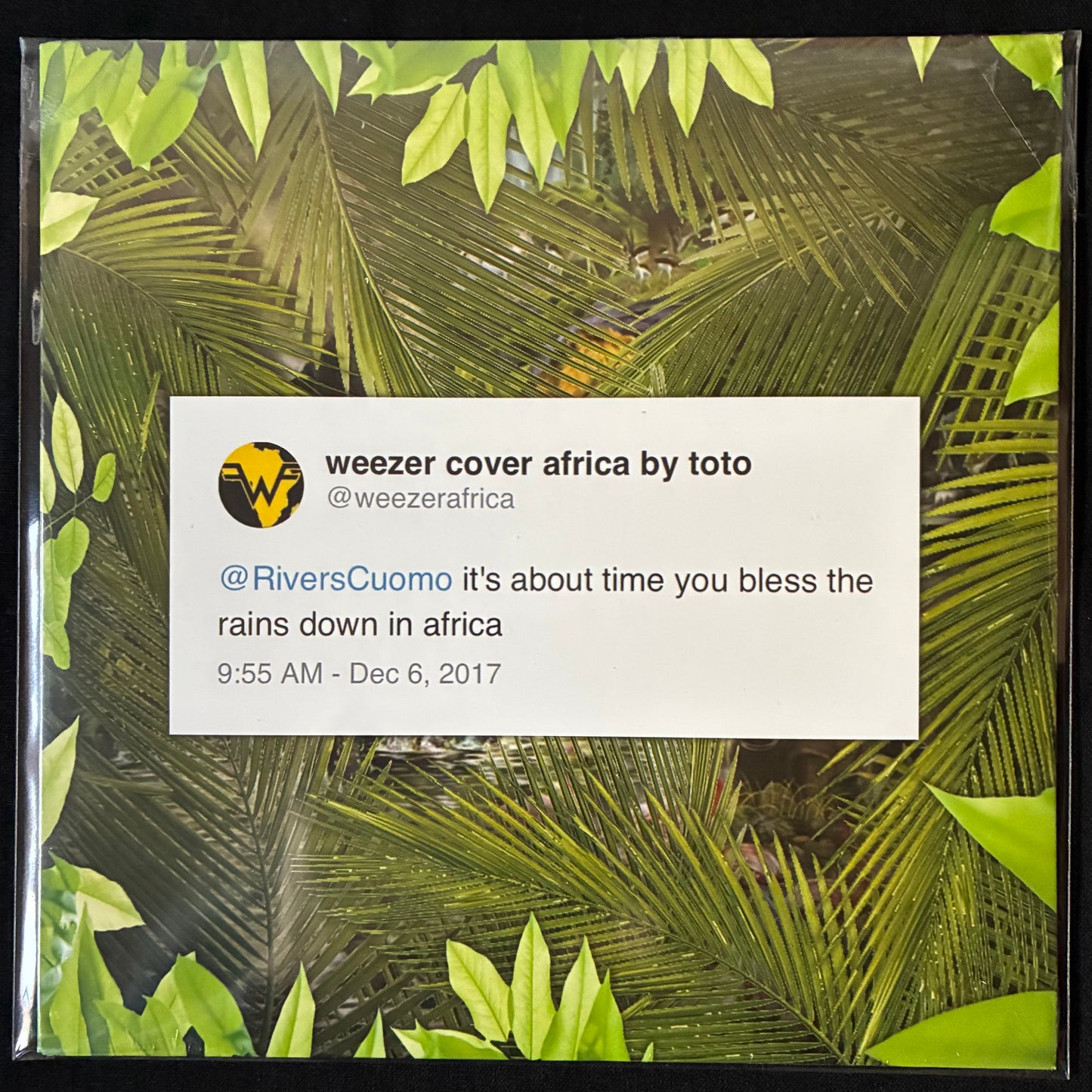 WEEZER - AFRICA (7") (GREEN VINYL)