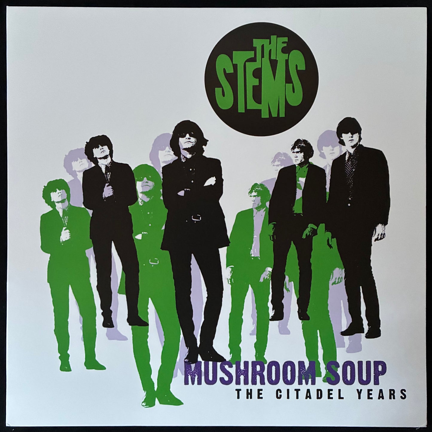 STEMS - MUSHROOM SOUP : THE CITADEL YEARS (USED VINYL 2023 AUS M-/M-)