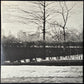STEELY DAN - PRETZEL LOGIC (USED VINYL 1974 US M-/M-)